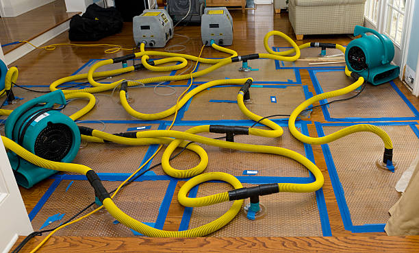 Professional Crawl Space Water Removal technician working in Lincoln, AR